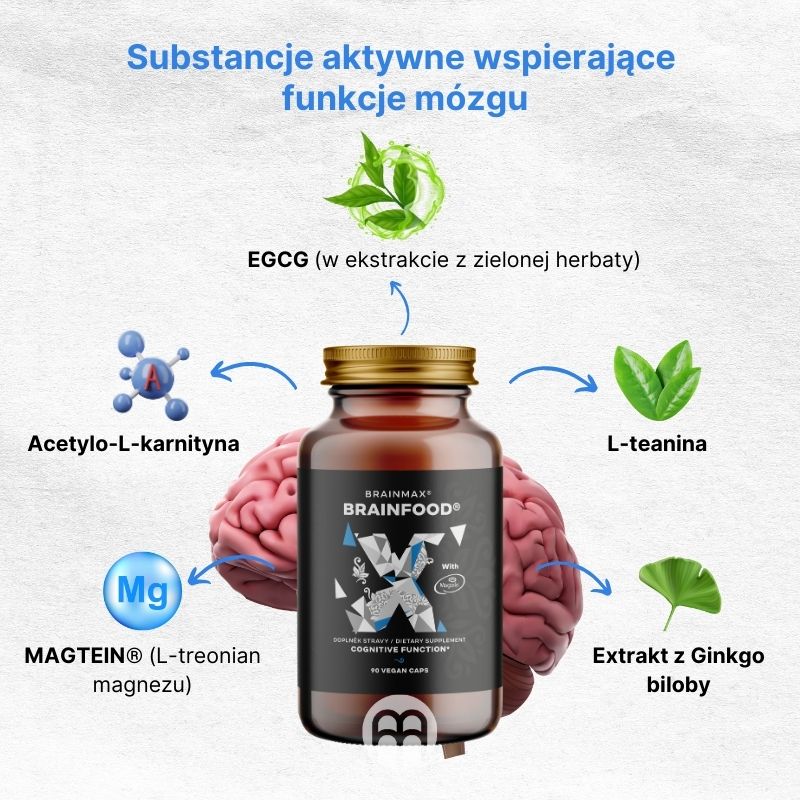 (Polština) Účinné látky podporující mozkové funkce_1